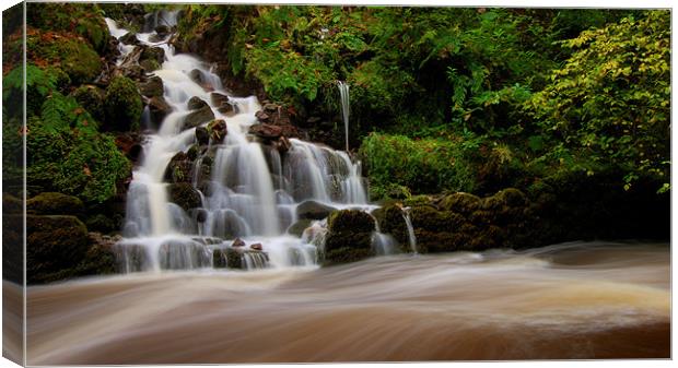 Waterfall at Reelig Canvas Print by Macrae Images