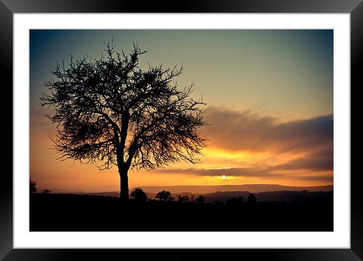 december sunset Framed Mounted Print by Jo Beerens
