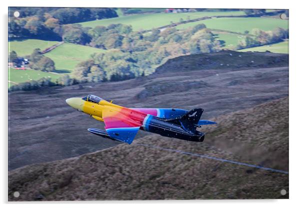 Miss DeMeanour Hawker Hunter 3 Acrylic by Oxon Images