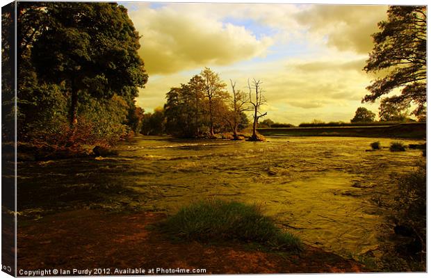 On the river bank Canvas Print by Ian Purdy