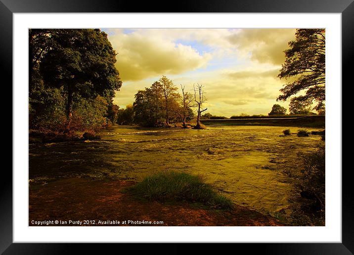 On the river bank Framed Mounted Print by Ian Purdy