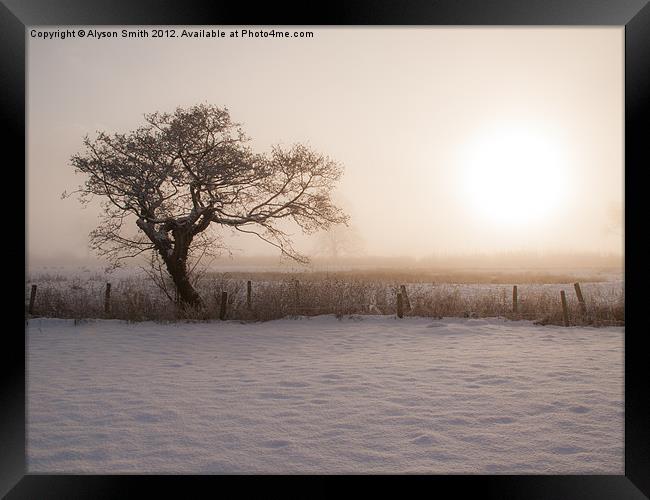 Winter Sunrise Framed Print by Aly JJ Smith