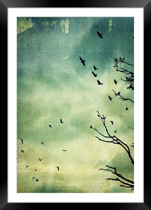 autumn evening Framed Mounted Print by Heather Newton