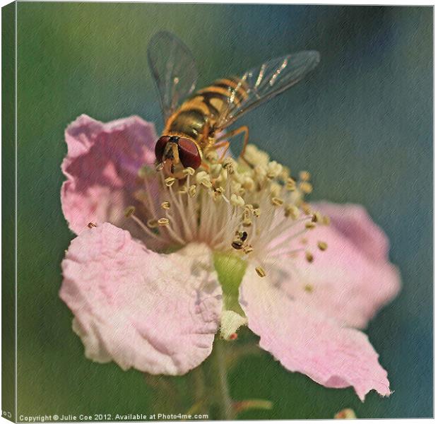 Hoverfly Canvas Print by Julie Coe