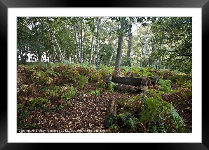 Woodland Seat Framed Mounted Print by Graham Custance