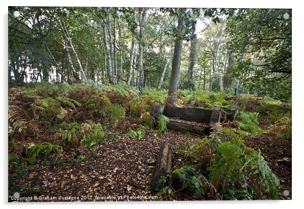 Woodland Seat Acrylic by Graham Custance