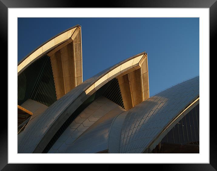 Opera House Roof Framed Mounted Print by ian sullivan