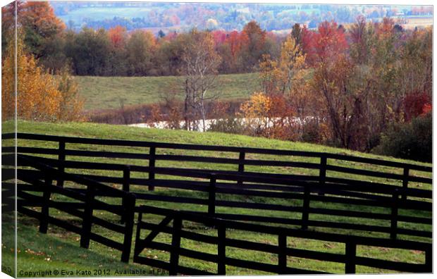 Fences Canvas Print by Eva Kato