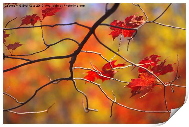 The Glory of Fall Print by Eva Kato