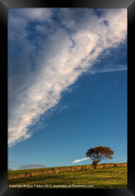 Tree on a hill Framed Print by Rory Trappe