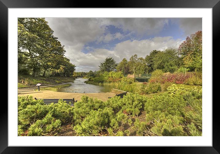 STANLEY PARK Framed Mounted Print by Shaun Dickinson