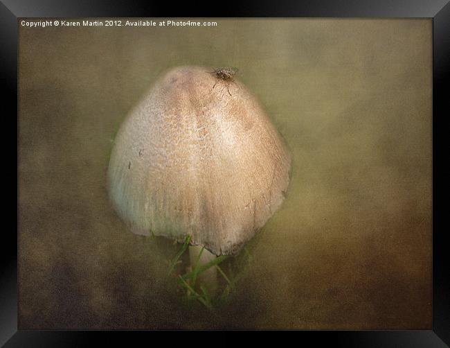Mushroom Fly Framed Print by Karen Martin
