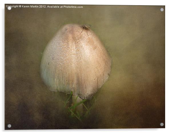 Mushroom Fly Acrylic by Karen Martin