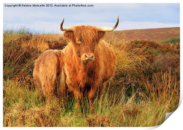 Highland Cow & baby Print by Debbie Metcalfe