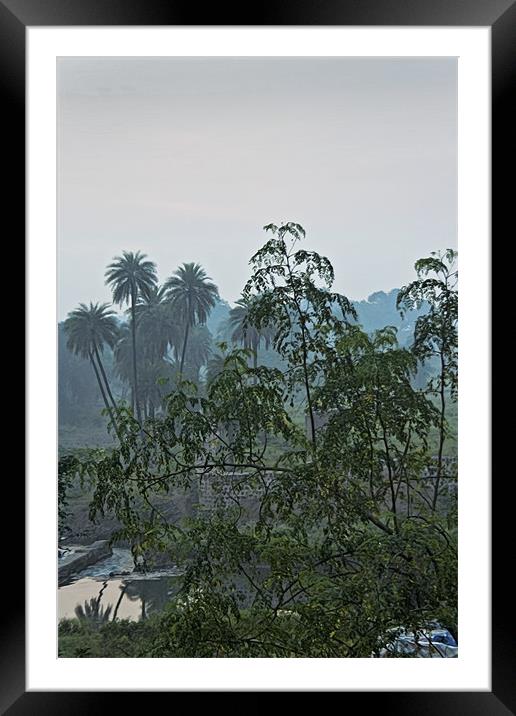 Mist over Mhow Forest Framed Mounted Print by Arfabita  