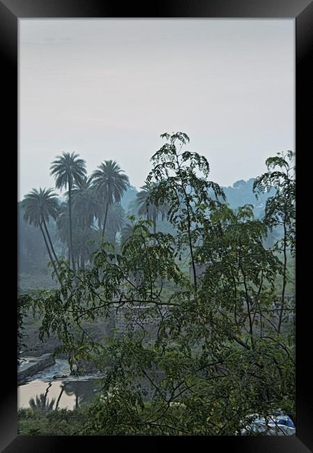 Mist over Mhow Forest Framed Print by Arfabita  