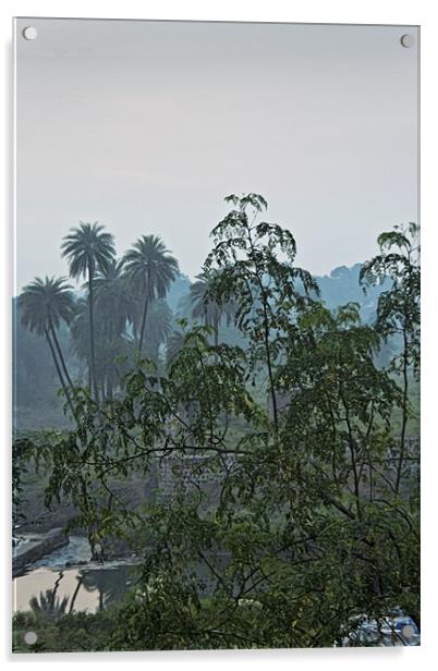 Mist over Mhow Forest Acrylic by Arfabita  