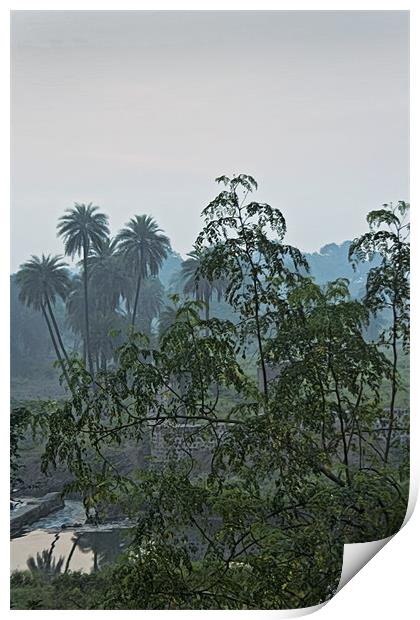 Mist over Mhow Forest Print by Arfabita  