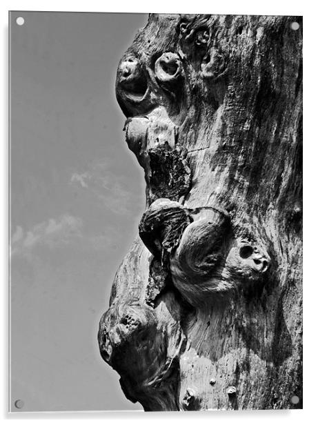 Profile of faces in the Tree Acrylic by Arfabita  