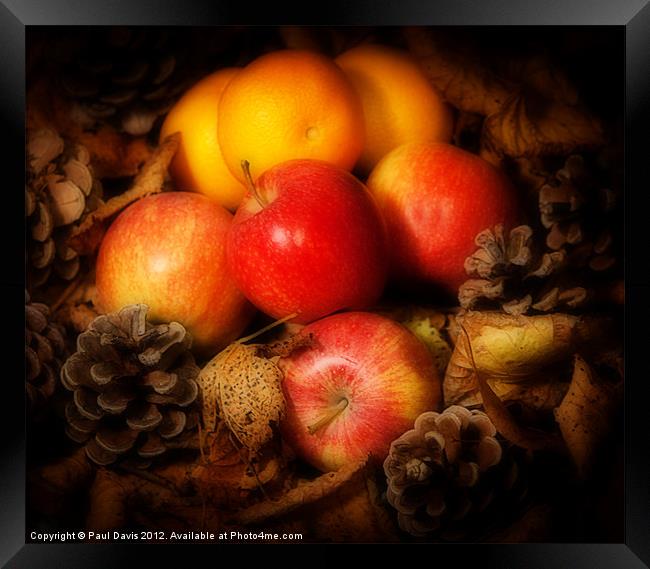 Apples and Oranges Framed Print by Paul Davis
