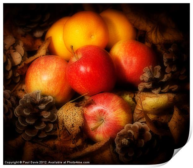 Apples and Oranges Print by Paul Davis