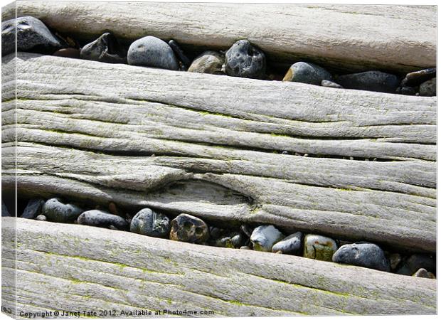 Sea Defense Timbers Canvas Print by Janet Tate