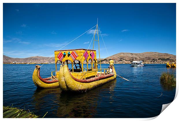 Reed boat Print by Gail Johnson