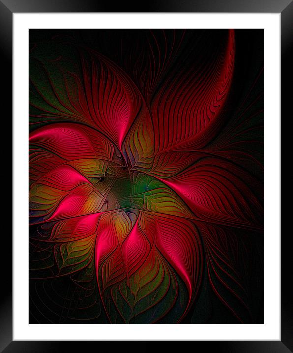 Exotica Framed Mounted Print by Amanda Moore
