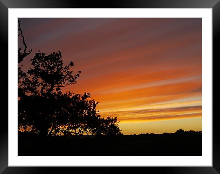 red sunset Framed Mounted Print by catrin jones