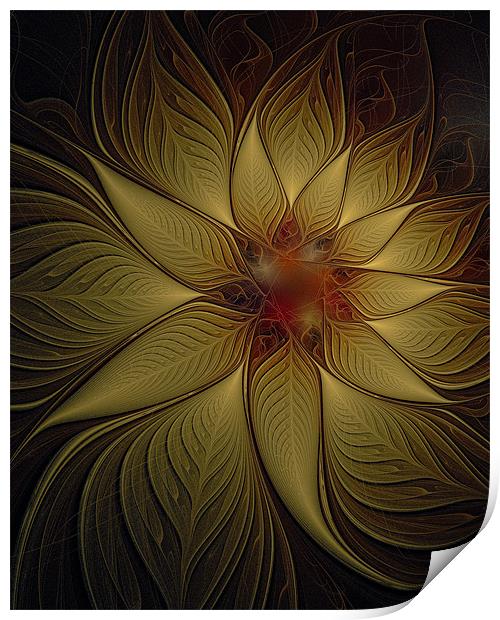 Golden Poinsettia Print by Amanda Moore