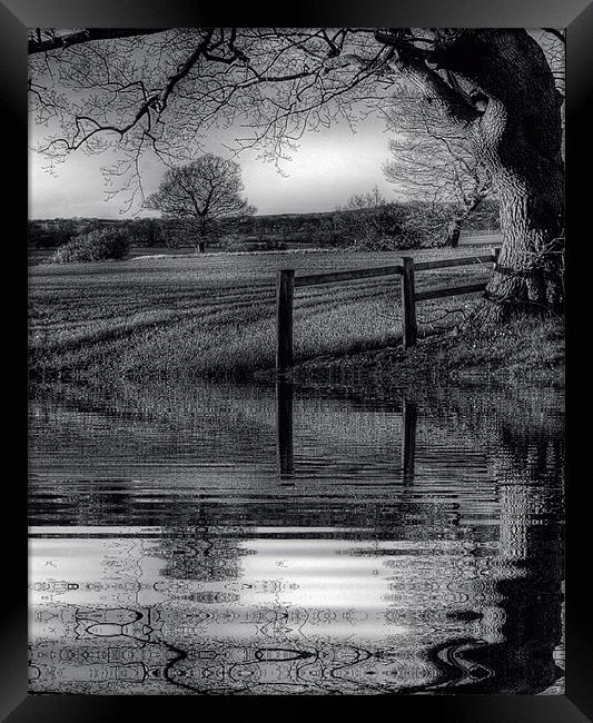 Reflections Framed Print by richard downes