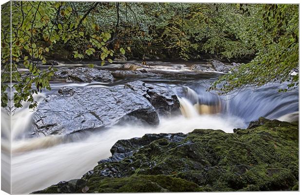 Fast Flowing Canvas Print by Sam Smith