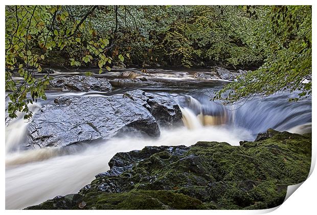 Fast Flowing Print by Sam Smith