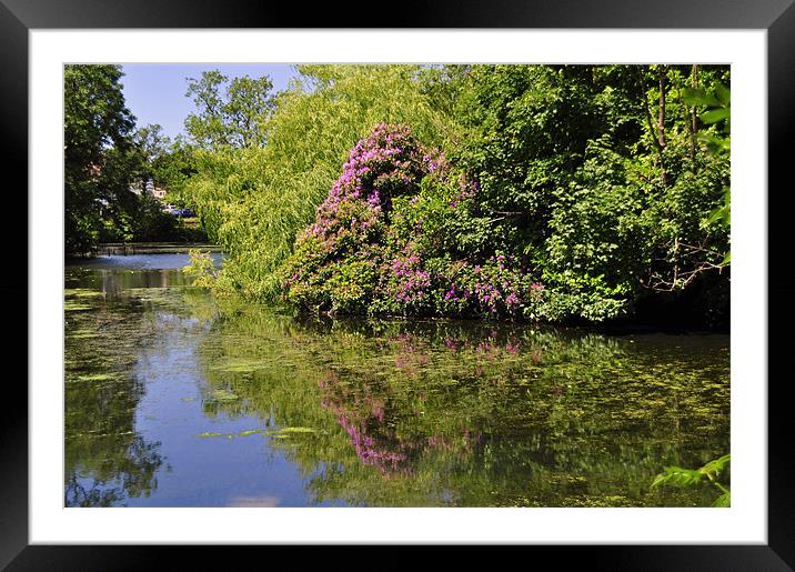 The Reflection Framed Mounted Print by melvyn hopkins