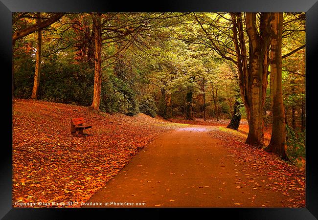 Take a seat Framed Print by Ian Purdy