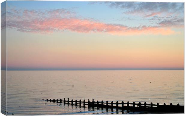 Serene Sunset Canvas Print by graham young