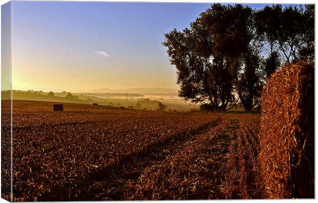 The Morning After The Harvest Canvas Print by graham young