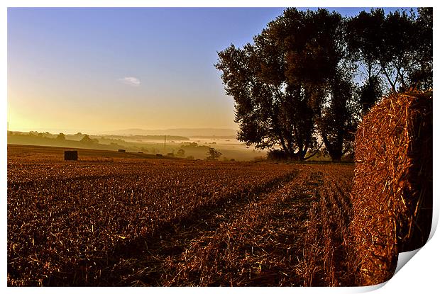 The Morning After The Harvest Print by graham young
