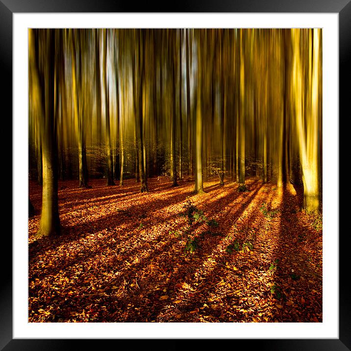 Into Autumn Framed Mounted Print by Izzy Standbridge