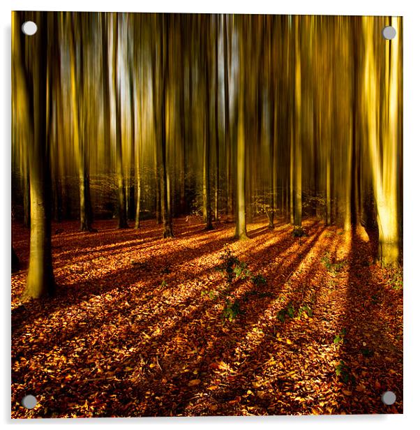 Into Autumn Acrylic by Izzy Standbridge