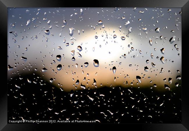 Rain Drops 03 Framed Print by Phillip Shannon