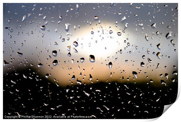 Rain Drops 03 Print by Phillip Shannon
