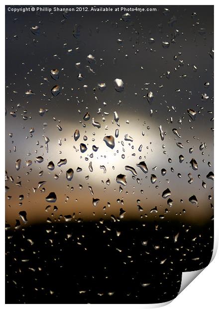Rain drops 01 Print by Phillip Shannon