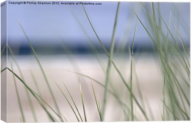 abstract beach grass sky 02 Canvas Print by Phillip Shannon