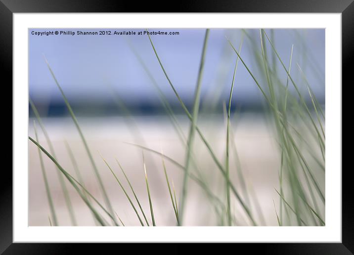 abstract beach grass sky 02 Framed Mounted Print by Phillip Shannon