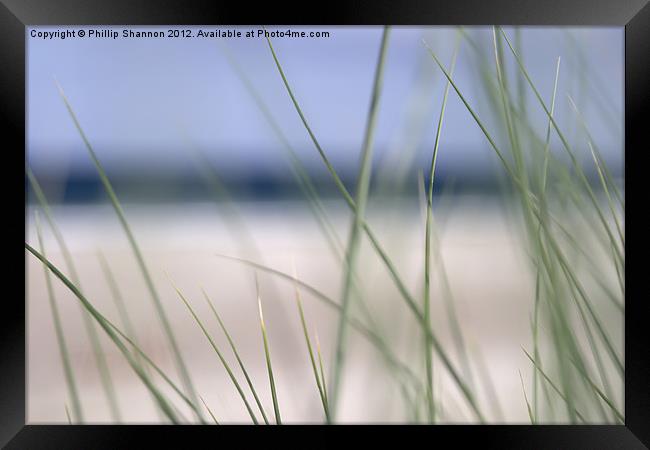 abstract beach grass sky 02 Framed Print by Phillip Shannon