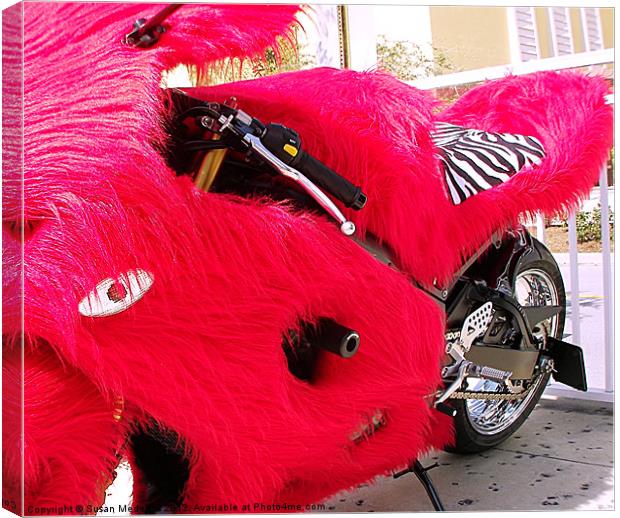 Furry Motorcycle Canvas Print by Susan Medeiros