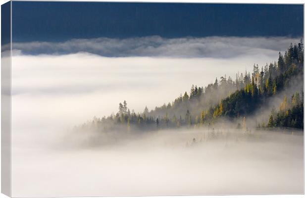 Autumn Morn  Canvas Print by Mike Dawson