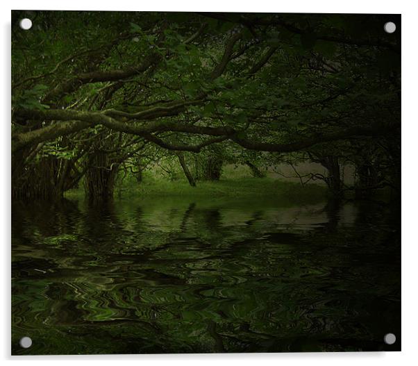 A Moonlit Woodland Acrylic by Debra Kelday
