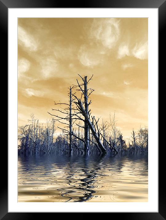 Death of The Trees Framed Mounted Print by Mike Gorton